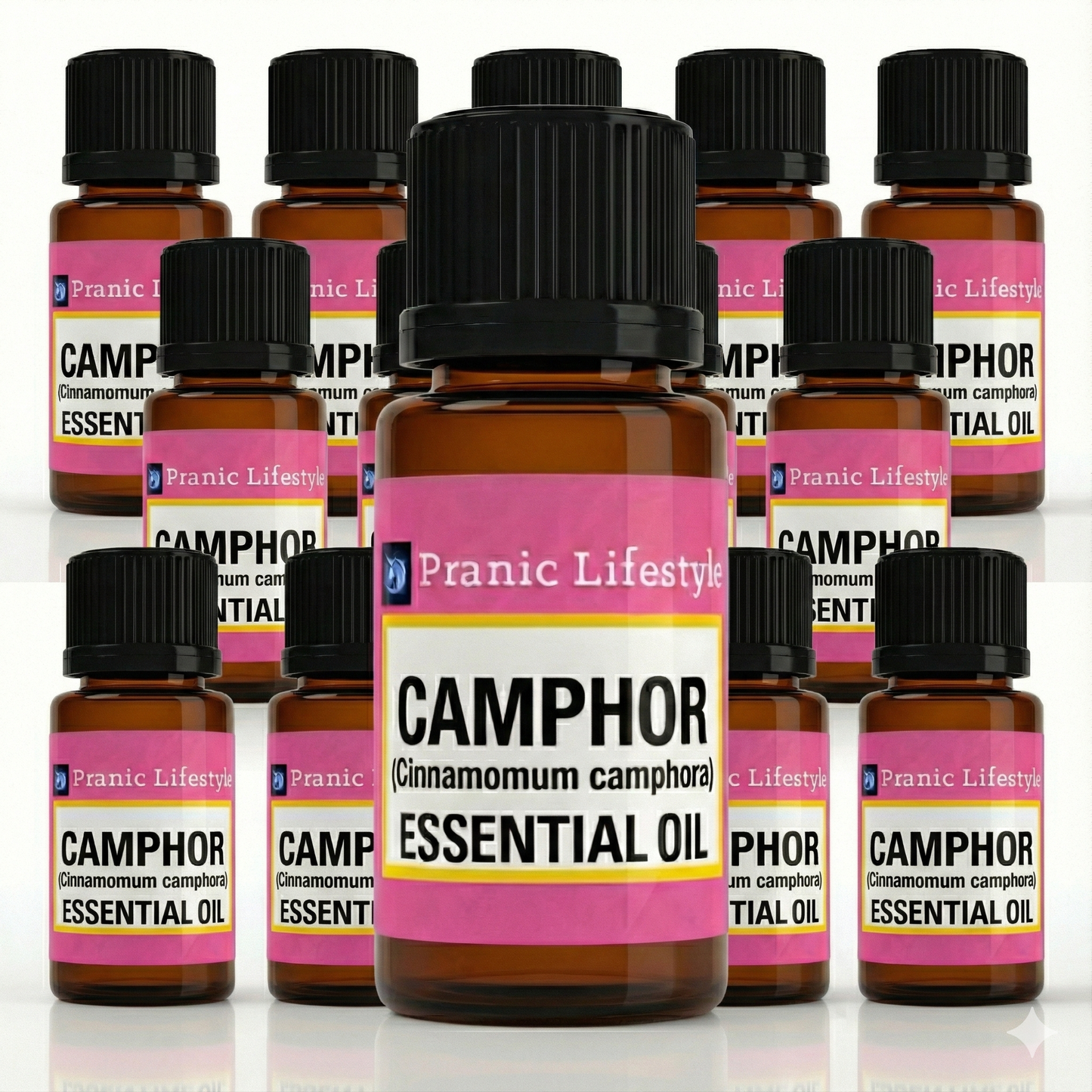 White Camphor Essential Oil (Cinnamomum camphora)