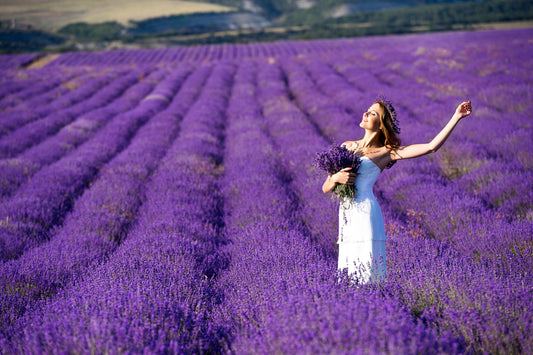 Generational Healing on 7 levels of Mother and Fathers lines