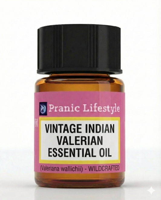 Vintage Indian Valerian (Tagara) Essential Oil - Wildcrafted