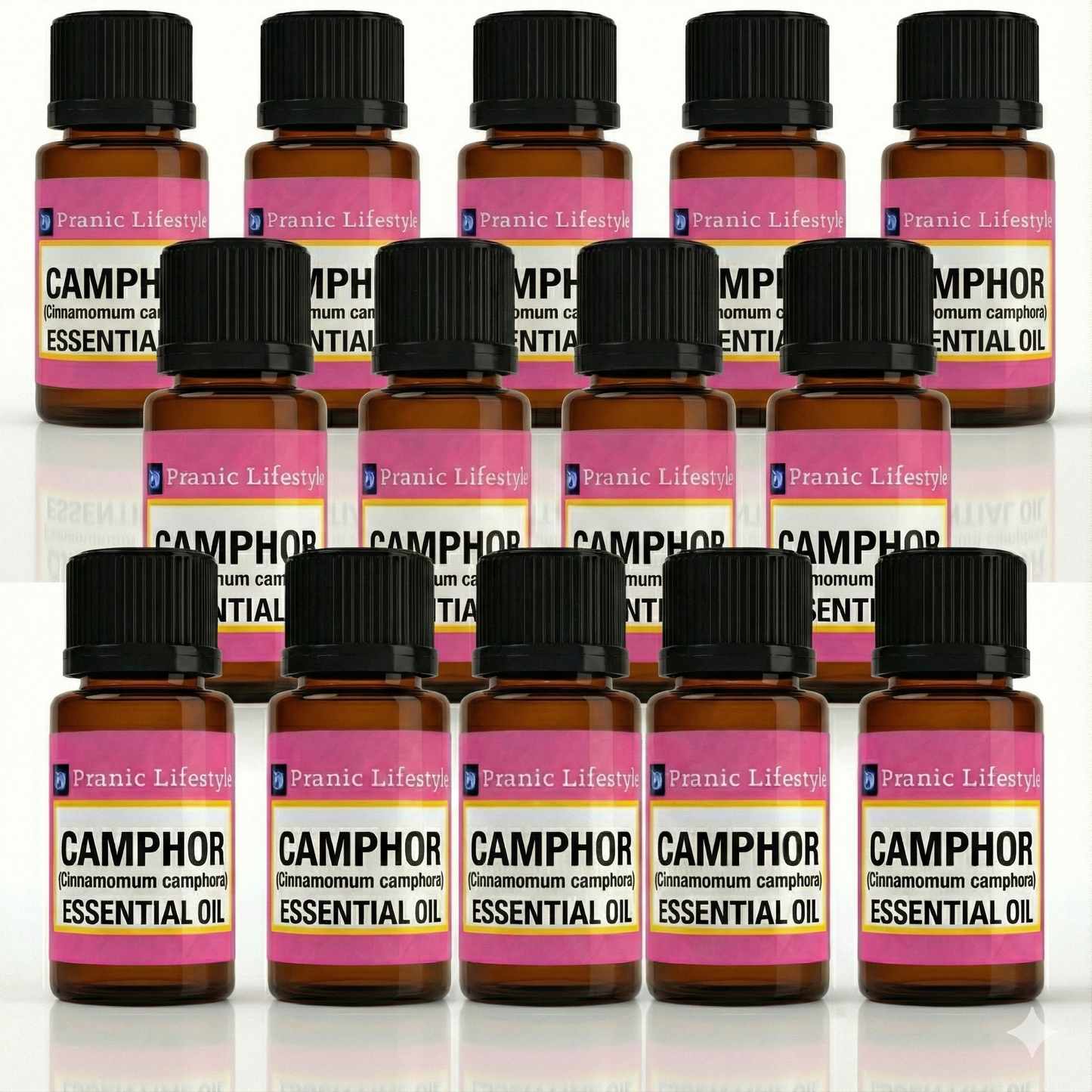 White Camphor Essential Oil (Cinnamomum camphora)