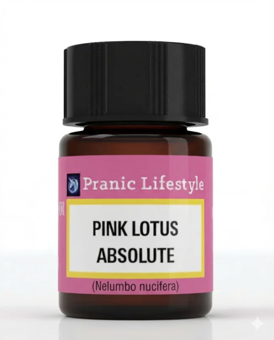 Pink Lotus Absolute (Nelumbo nucifera)