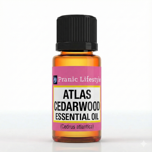 Atlas Cedarwood Essential Oil (Cedrus atlantica)