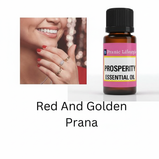 Pranic Starter Kit - ebook and prosperity oil
