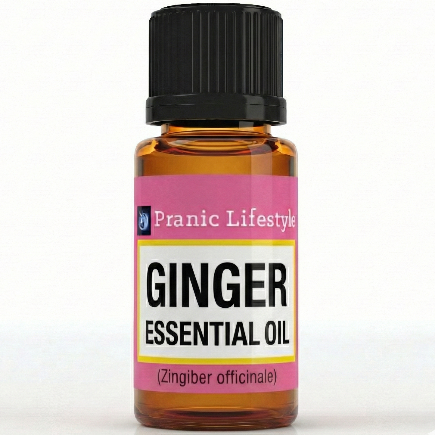 Ginger Essential Oil (Zingiber officinale)