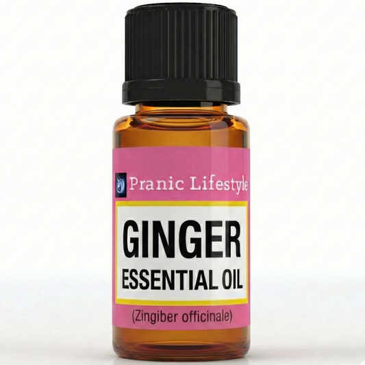 Ginger Essential Oil (Zingiber officinale)