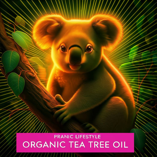 Organic Tea Tree Essential Oil