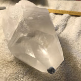 Lemurian Seed Crystal #7