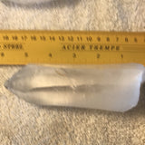 Lemurian Seed Crystal #1